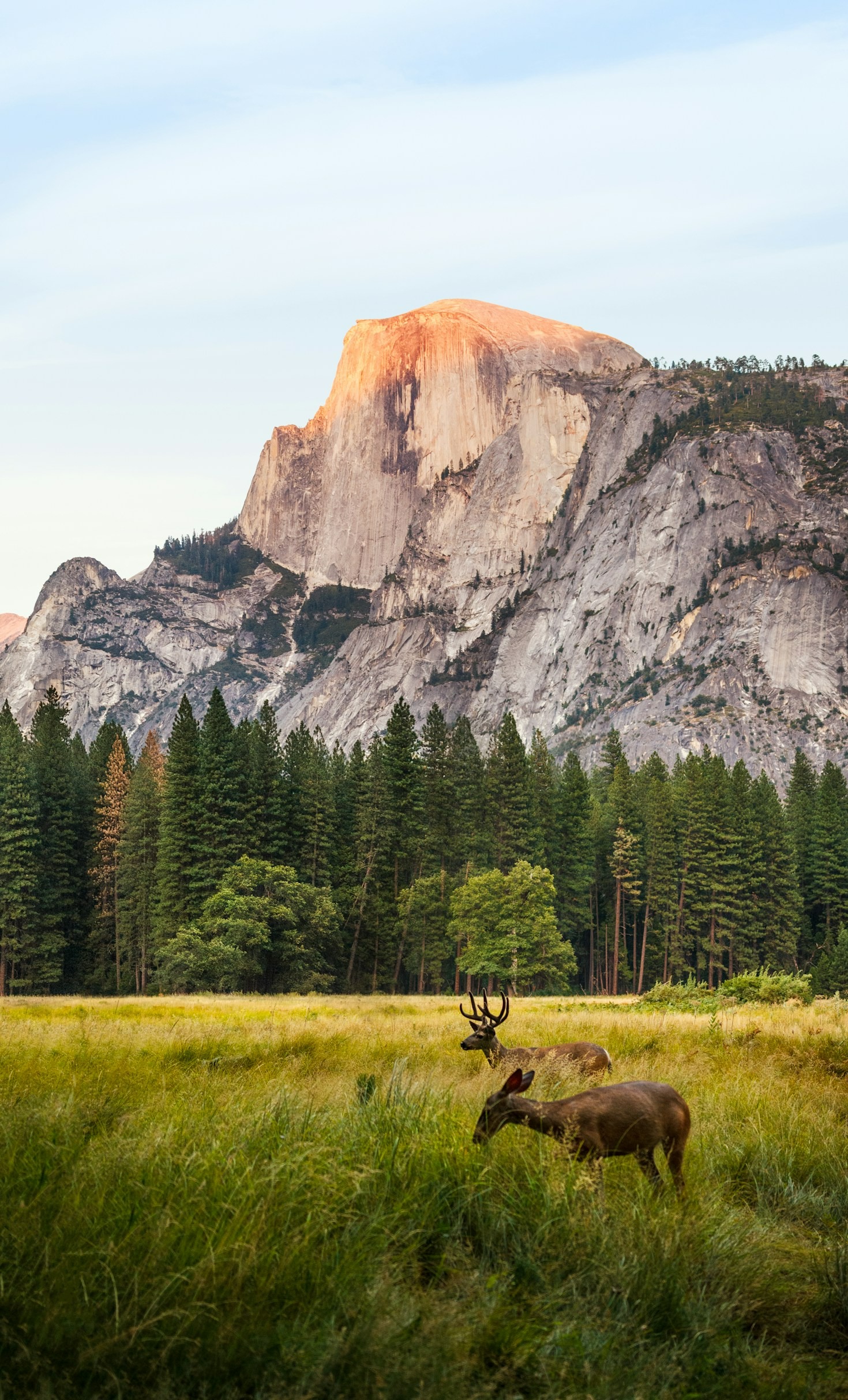 The Power of Being Grounded in Nature