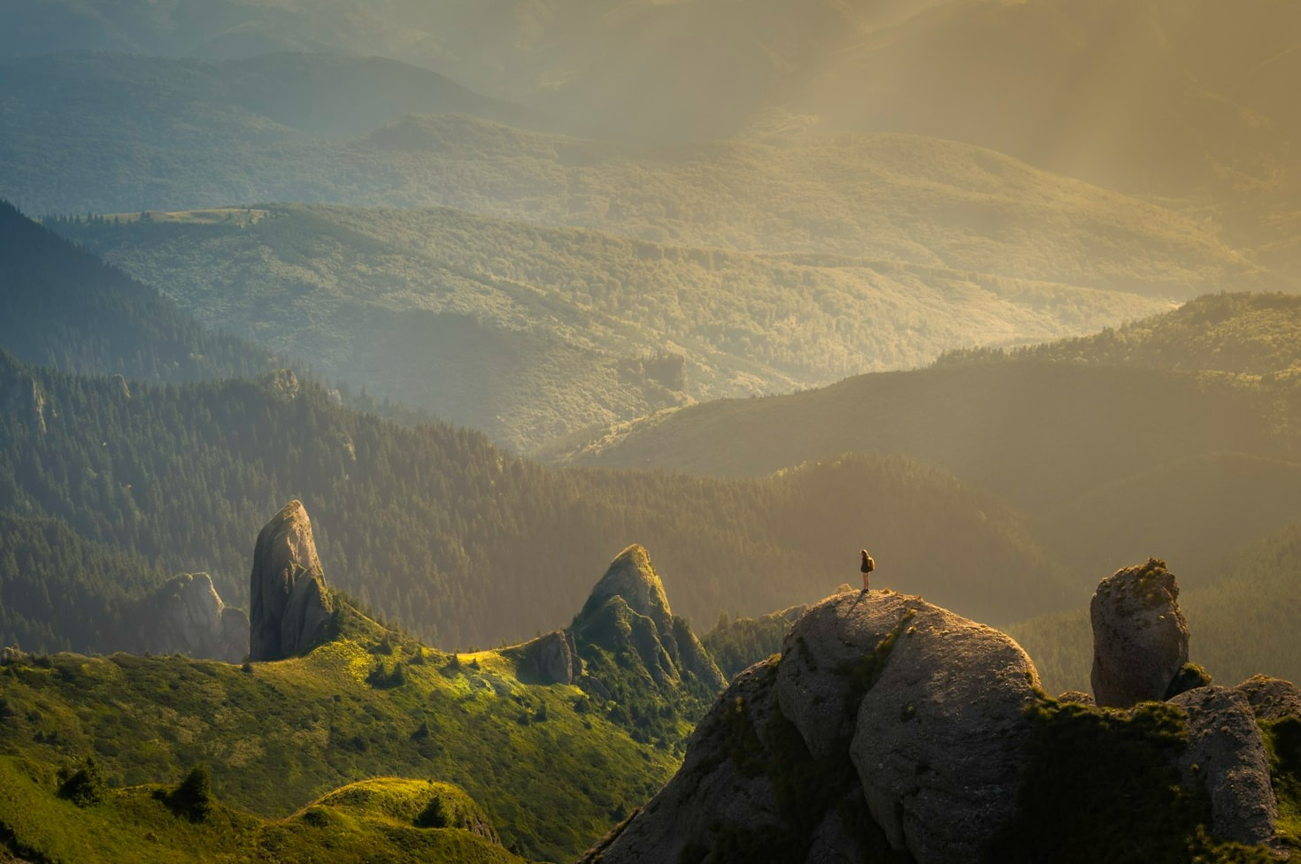 Heartfelt Narratives from Seasonal Transitions