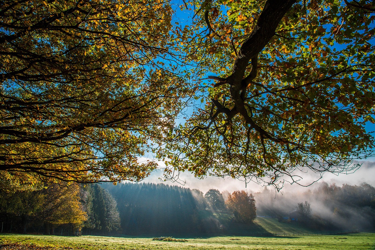 Balance Begins Here: How to Use the Equinox to Reset Your Life